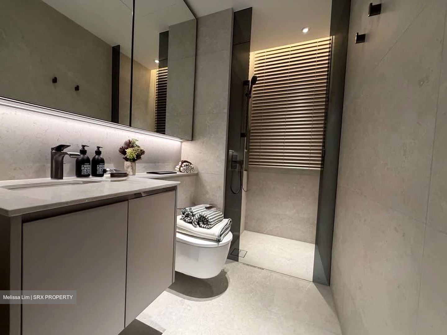 Dunearn Road (D11), Condominium #590423731